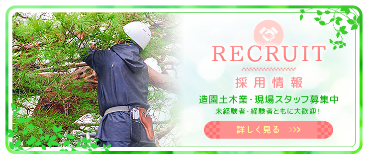 採用情報